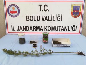 Bolu’da, Kaçak Sigara Ve Uyuşturucu Operasyonu