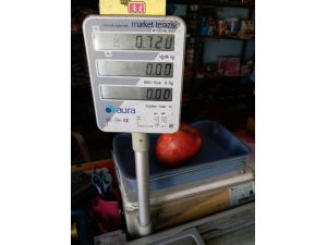 Isparta’da Bir Elma 720 Gram Geldi