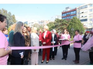 “Pembe Prenses” Adlı Tır Kırklareli’nde