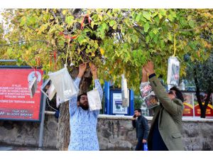 Ağaç Dalları Kitap Açtı