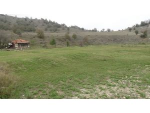 Jandarma, Faili Meçhul Hırsızlığı Aydınlattı