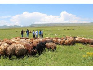 Iğdır’da Üreten Çiftçi Desteklenecek
