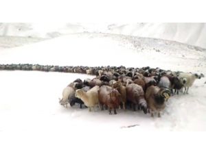 Doğu Anadolu’nun Yüksek Kesimleri Beyaza Büründü