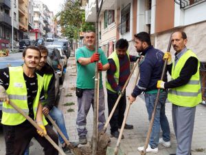 Bayrampaşa’ya Her Yıl Binlerce Ağaç