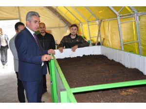 Gümüşhane’de Solucan Gübresi Üretimi Başladı