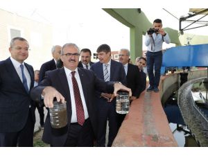 Alt Tarafı Arıtma Üst Tarafı Futbol Sahası