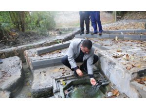 Orduzu’da Bulunan Üç Havuz Çeşmesi Hizmete Girdi