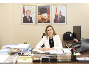 Türk Akademisyenlerden Arkeoloji Dünyasını Heyecanlandıran Çalışma