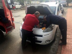 Siirt’te Araç Motoruna Sıkışan Kedi Kurtarıldı