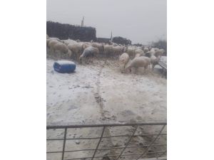 Şuhut’ta Mevsimin İlk Karı Yağdı