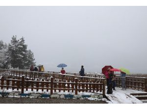 Abant Tabiat Parkı Kar Yağışıyla Beyazlara Büründü