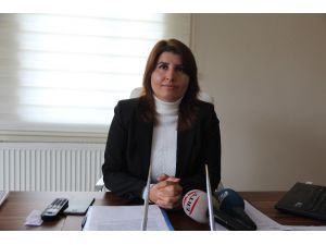 Kadına Yönelik Şiddetle Mücadele Ulusal Eylem Planı Açıklandı