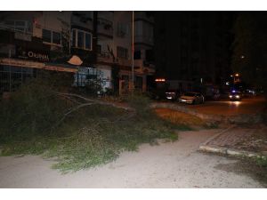 Şiddetli Rüzgar Ağaçları Devirdi Elektrik Tellerini Kopardı