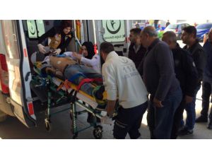 Güvercin Sevdası Genci Canından Etti