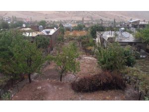 Siirt’te Sağanak Yağış Ekinlere Zarar Verdi