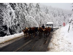 Ordu’ya Mevsimin İlk Karı Yağdı