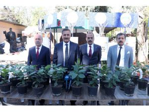 Kahve Artık Mersin’den Gelecek