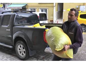 Giresunlu Fındık Üreticileri Cumhurbaşkanı Erdoğan’ın Açıkladığı Fındık Fiyatını Değerlendirdi