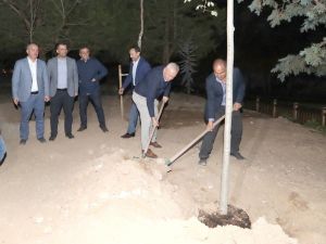 Ak Parti Heyeti Ziyaretin Ardından Ağaç Dikti