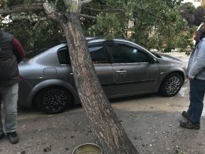 Muradiye’de Etkili Olan Yağmur Ve Fırtına Hayatı Olumsuz Etkiledi