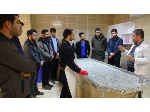 Üniversite Öğrencilerine Morgda Ders