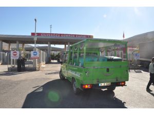 Sel Sularına Kapılan Suriyelilerin Cenazeleri Cilvegözü’nden Ülkelerine Gönderildi