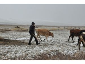 Kars’ta Kar Ve Tipiye Yakalanan Çobanlar Zor Anlar Yaşadı