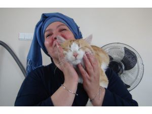 Kayıp Kedisini Bulabilmek İçin Semt Değiştirdi
