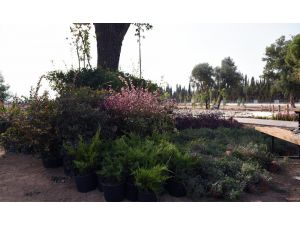 Dokuma’ya Botanik Bahçe Kuruluyor