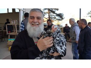 En Güzel Tavuklar Alıcılarını Bulmak İçin Sergilendi