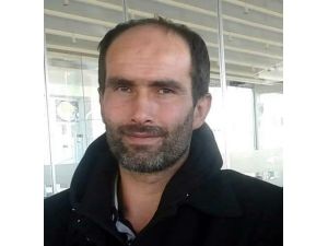 Kestiği Ağaç Sonu Oldu
