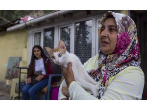 Eyüpsultan’da Sokak Hayvanları Sahiplendiriliyor