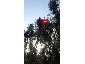 Ağaç Tepesinde Cumhuriyet Kutlaması