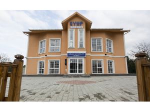 Eyüp’lü Minikler, Hayvan Sevgisini Sokak Kedilerinin Kalbini Dinleyerek Yaşıyorlar