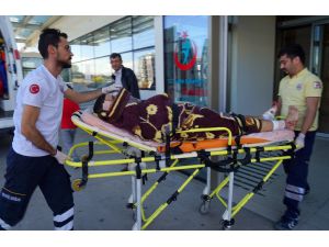 Mantar Toplayan Vatandaşa Ayı Saldırdı