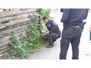Bafra’da Yol Kenarında Tabanca Bulundu