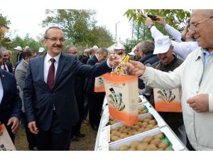 Ordu’da ‘Kivi Hasat Şenliği’