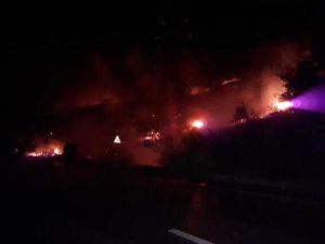 Hatay’da Orman Yangını