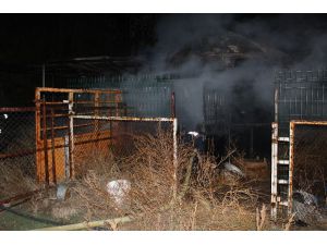 Karaman’da Depoda Bulunan Arı Kovanları Yandı