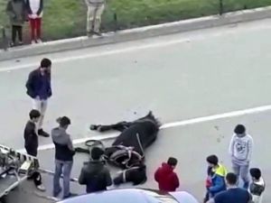 Açlıktan Bitkin Düşen At Yere Yığıldı