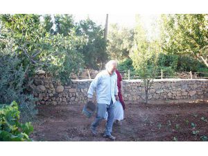 Torunu Yaşındaki Çocuklara Cinsel İstismar İddiası