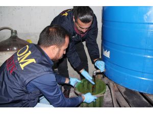 Kaçak Şarap Üretim Merkezi Polisi Bile Şaşırttı