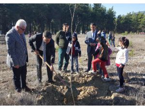 Minikler Fidanları Toprakla Buluşturdu