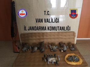 Çatak’ta Kaçak Avlanmış 7 Keklik Ele Geçirildi