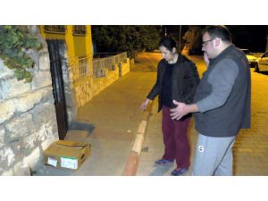 Yavru Kedilerin İmdadına Yürüyüş Yapan Aile Yetişti