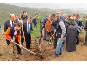 Biga’da Öğrenciler Fidan Dikti