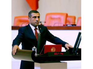 Mhp’li Vekil, Otizm Ve Down Sendromu Sorununu Tbmm’ye Taşıdı