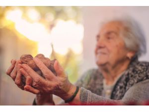 Günlük Beslenmede Ceviz Tüketimi Yaşlıların Kilosunu Etkilemiyor