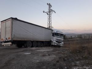 Başı Boş At Kazaya Sebep Oldu