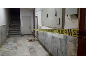 Kendisini Aldattığı Gerekçesiyle Dini Nikahlı Eşini Vurdu